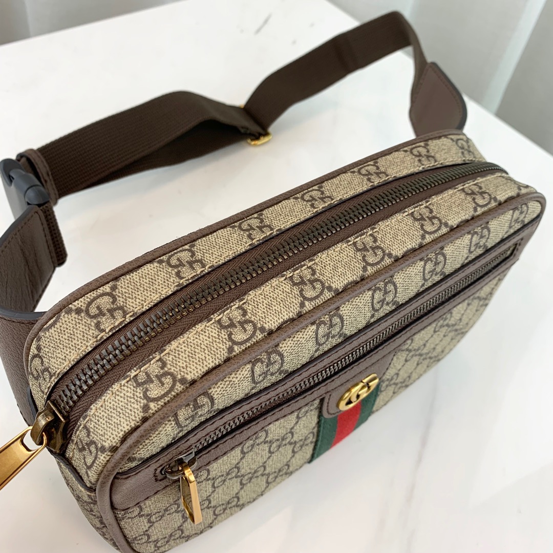 g*u*i ophidia gg S*p*e belt bag-24*14*5cm