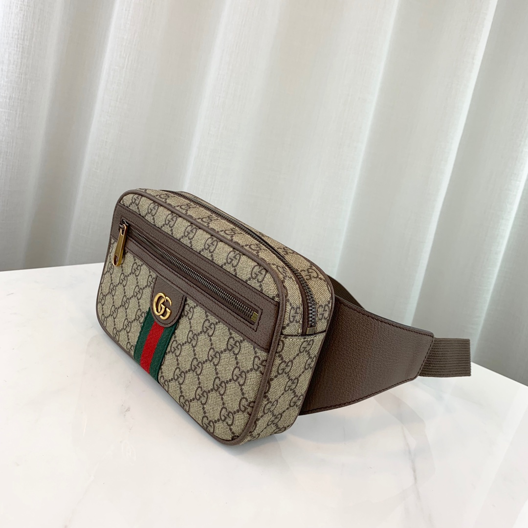 g*u*i ophidia gg S*p*e belt bag-24*14*5cm