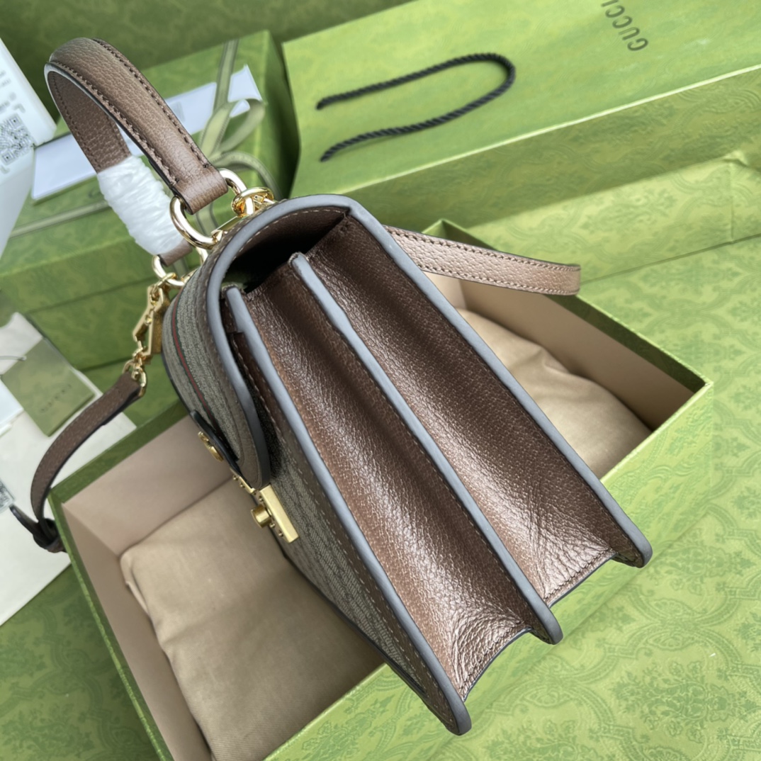 G*u*i ophidia tote-25*18*7cm