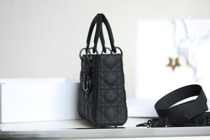 D*or lady bag-20*16.5*8cm