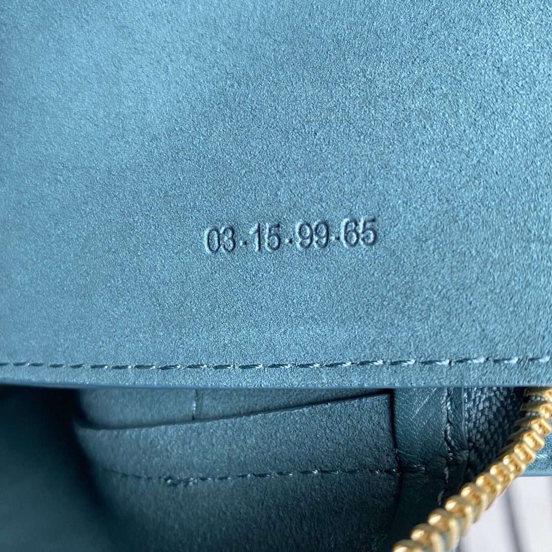 Celin Belt Bag
