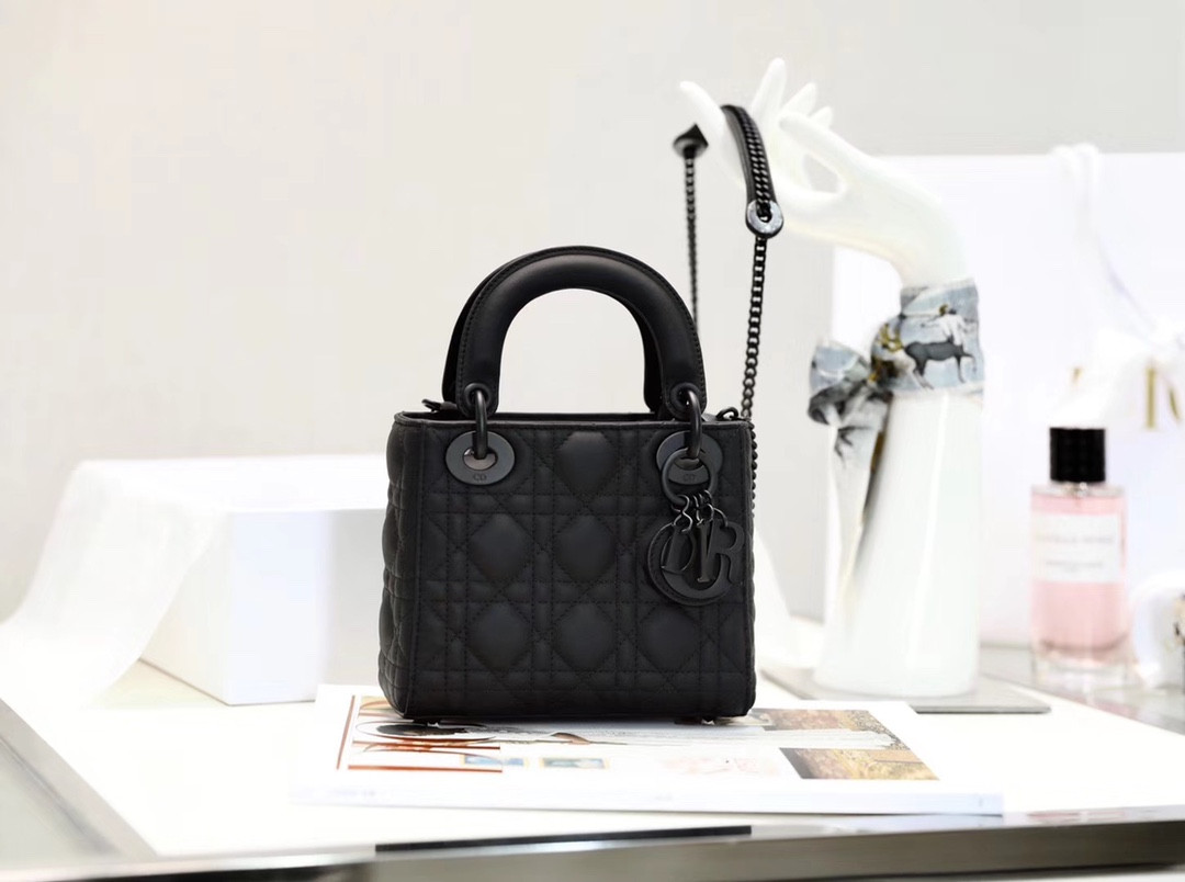 lady D*or bag-17cm