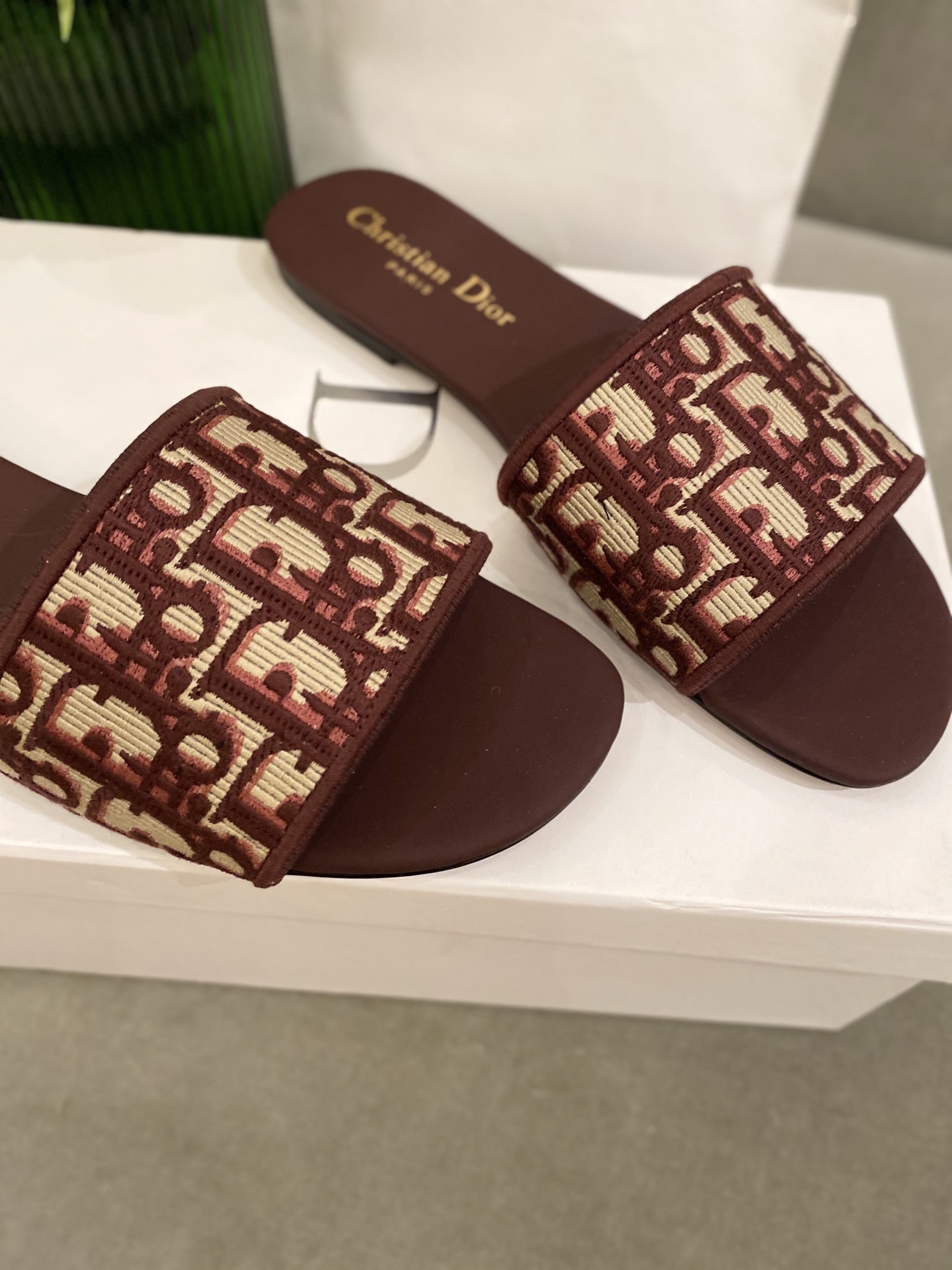 D*or slides