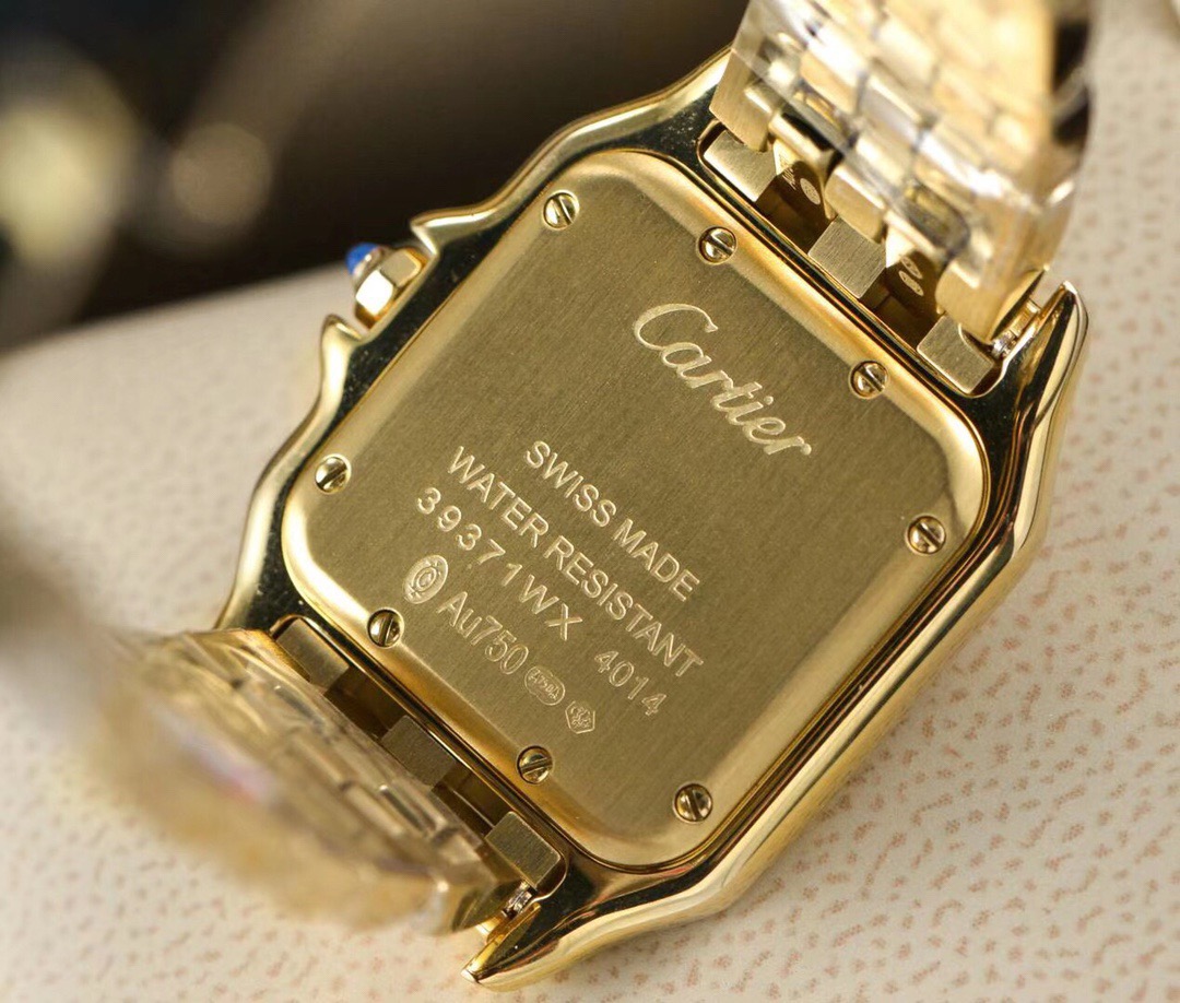 Ca*t*er watch