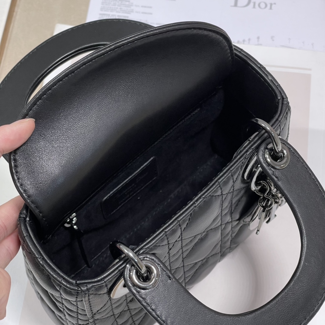 lady D*or handle bags