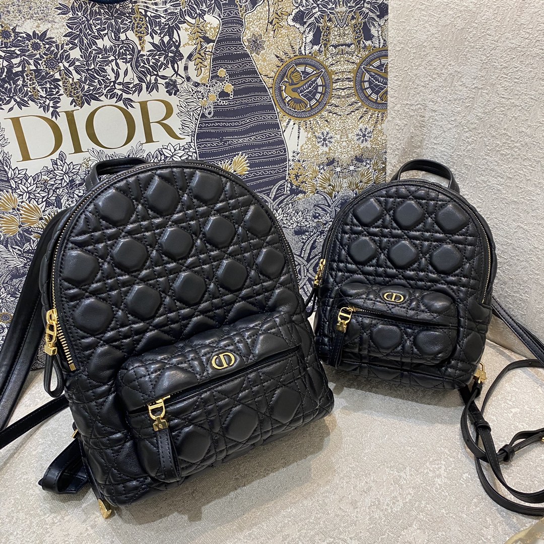 D*or backpack