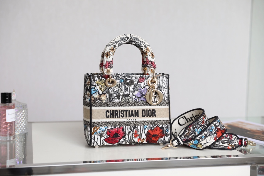 lady D*or bag-24*20*11cm