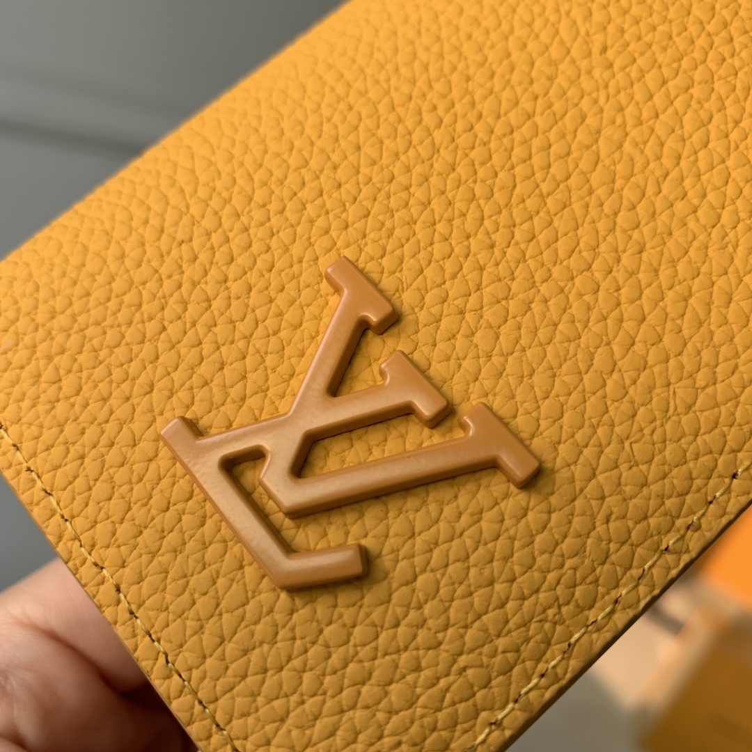 l0*is V*t0n aerogram wallet-8 x 11 x 1cm