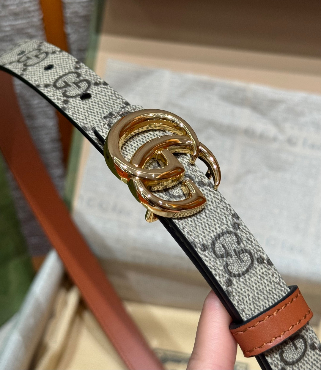 Gvc*1 Belt-2CM